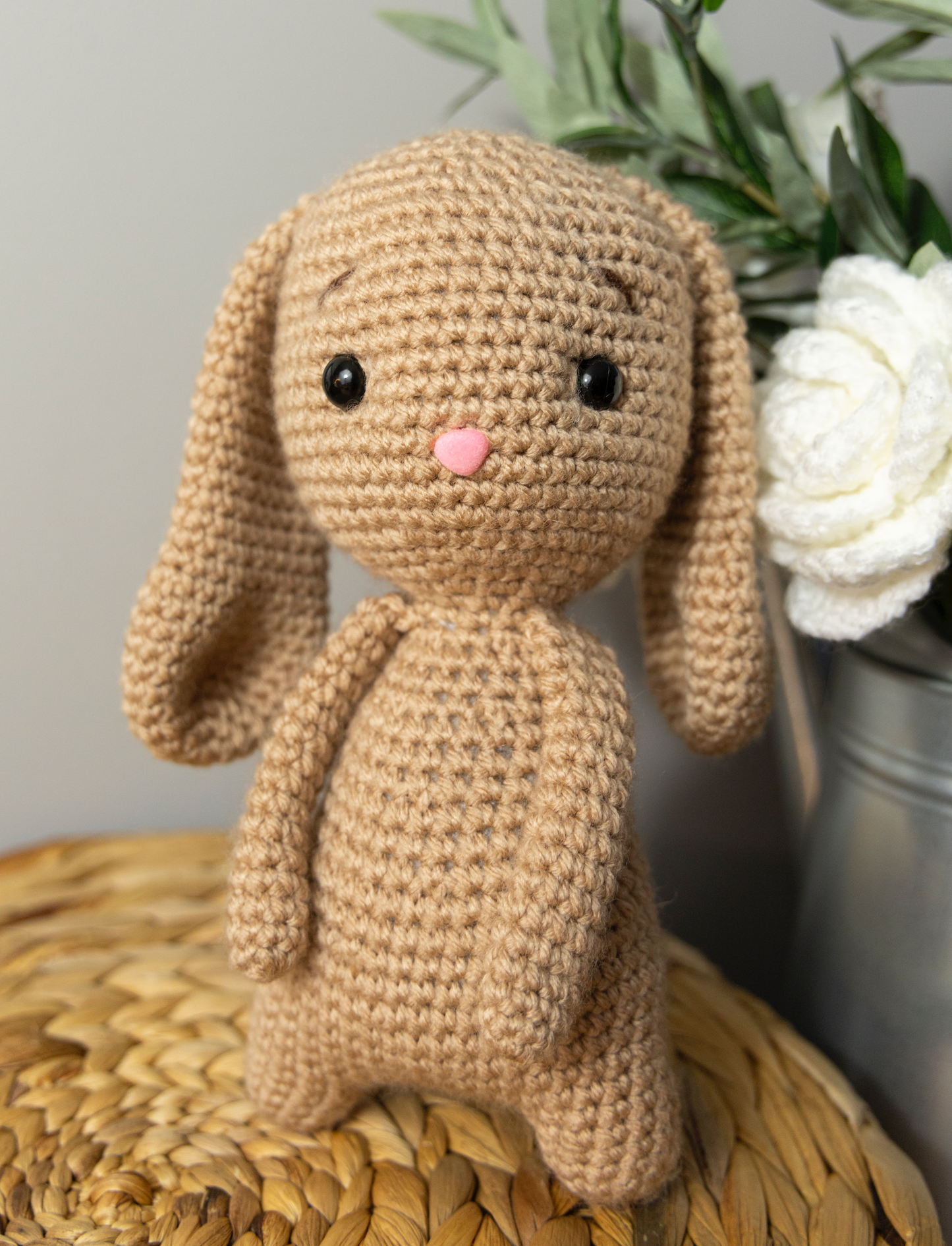 Lapin MPB