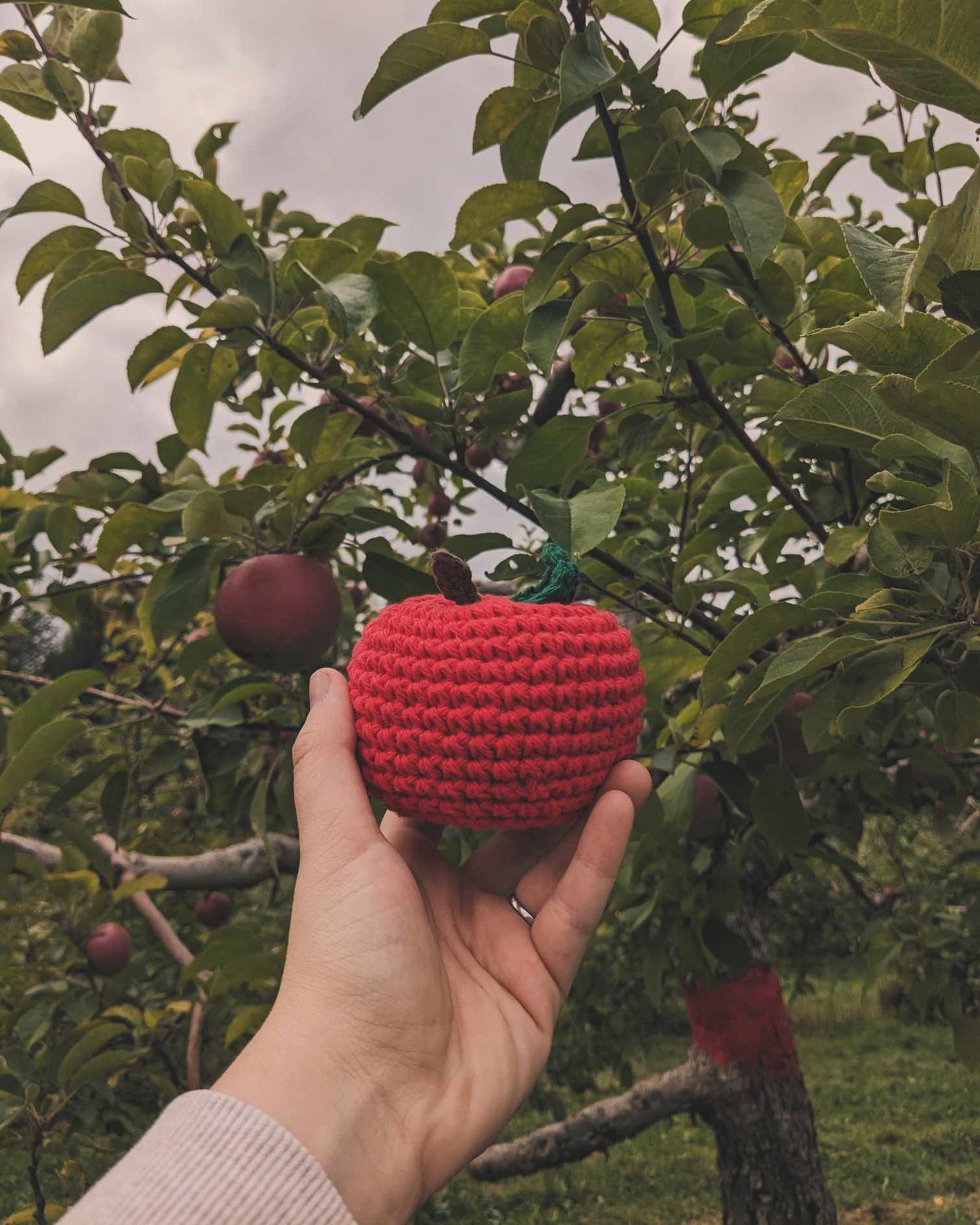 Peluche - Hochet Pomme