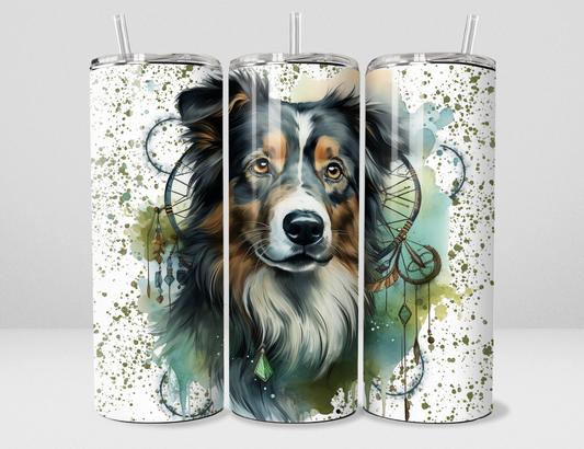 Chien-Berger Australien
