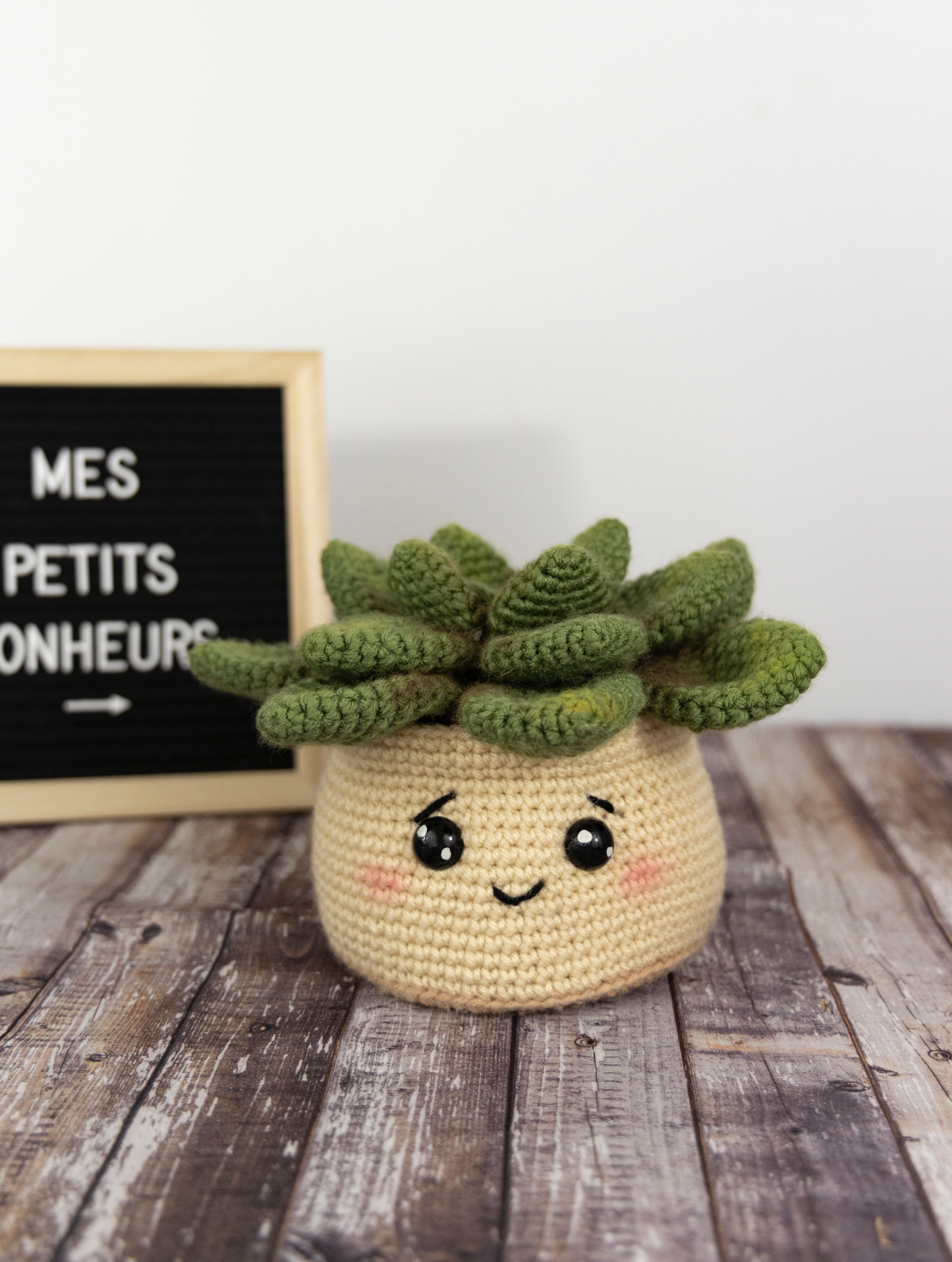 Plante