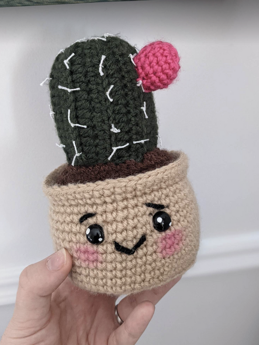 Petit cactus