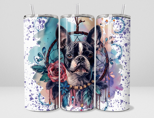 Chien Boston Terrier