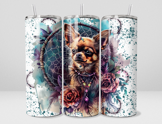 Chien Chihuahua