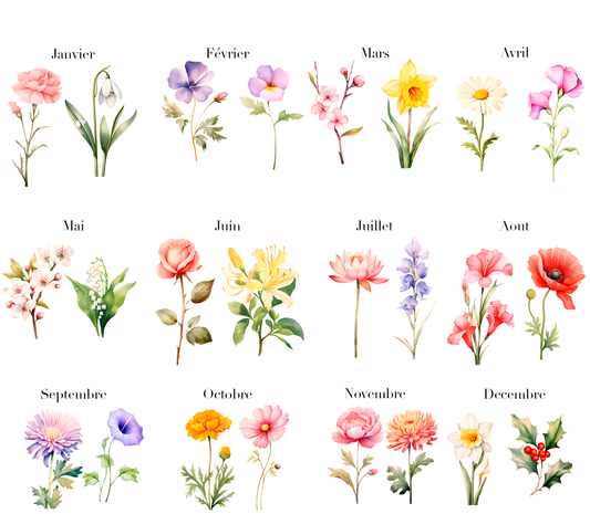 Ma famille en fleurs (couleurs)