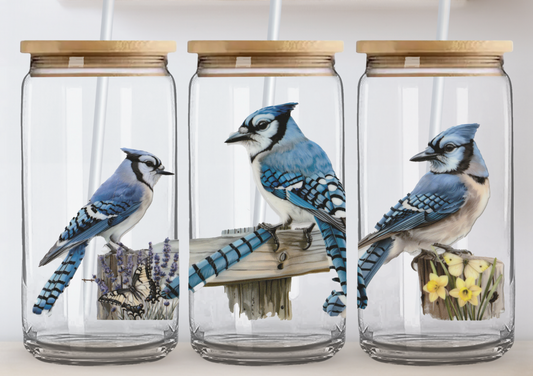 Verre Geai Bleu