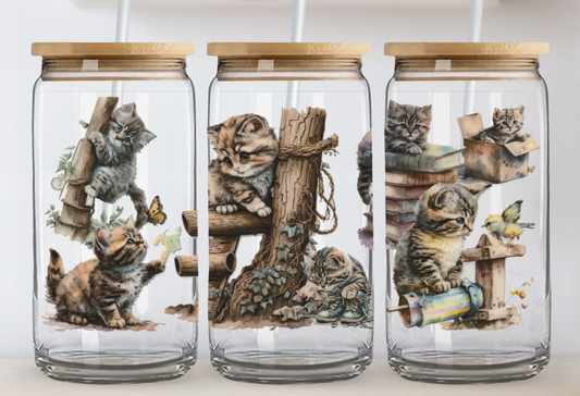 Verre Chatons