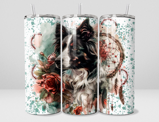 Chien - Border Collie